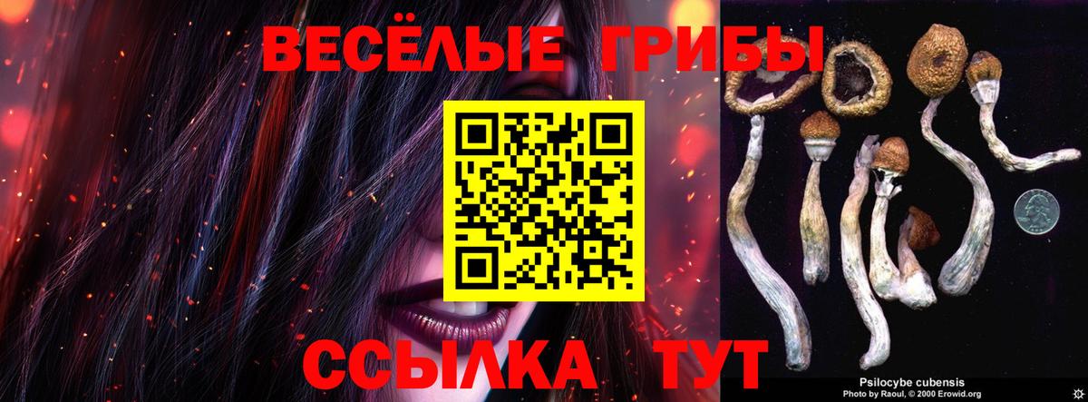 Галлюциногенные грибы MAGIC MUSHROOMS Нефтекумск